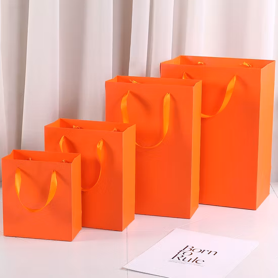 Custom High Quality Cosmetic Paper Printing Shopping Gift Bag